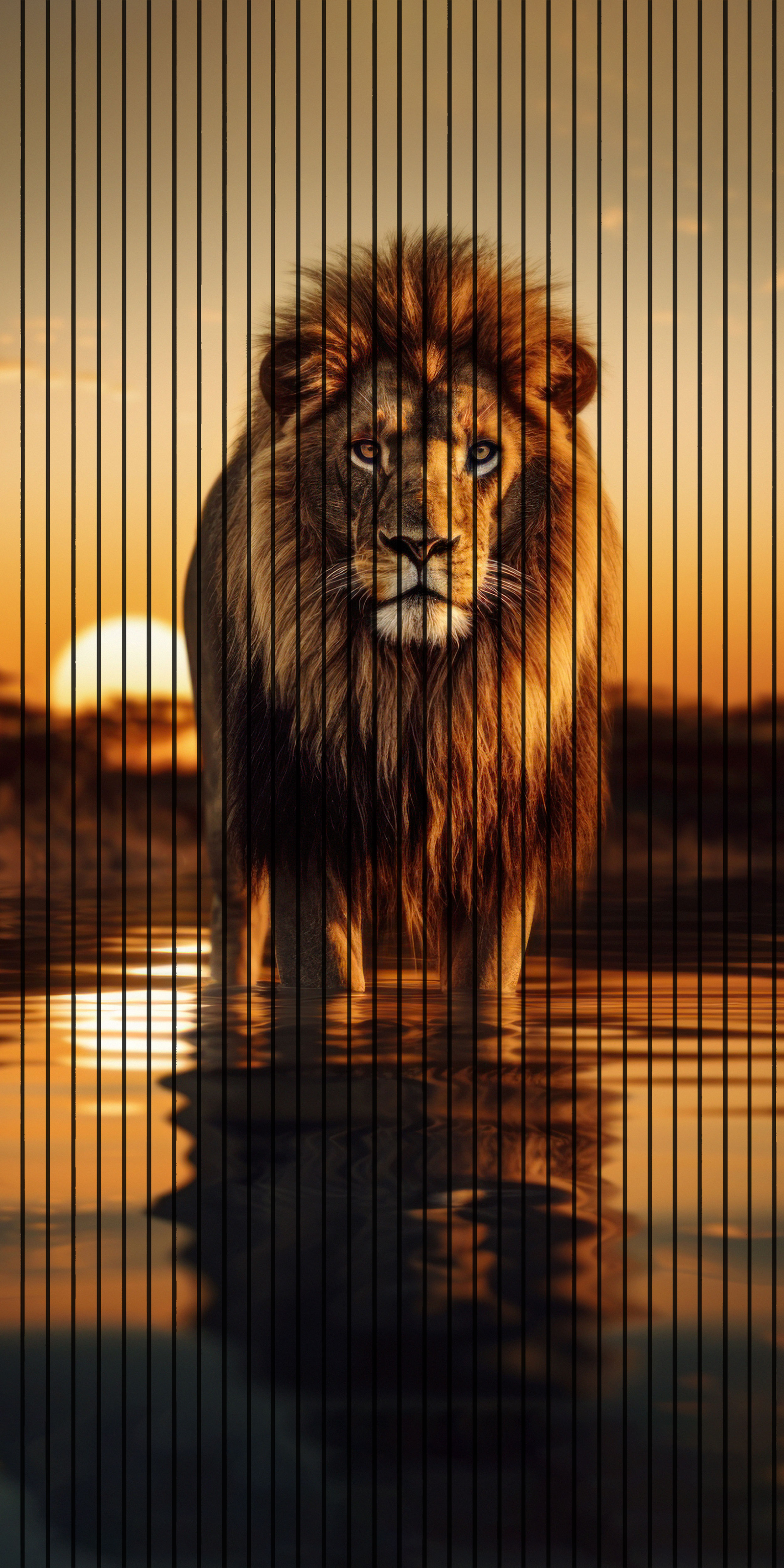 7D Fluted Panel – 7D-1004 | Aggressive Lion Standing in Sunset | Textured Finish | 5 Feet × 10 Feet