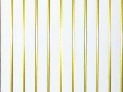 PVC Fluted Panel SN / GL 3021